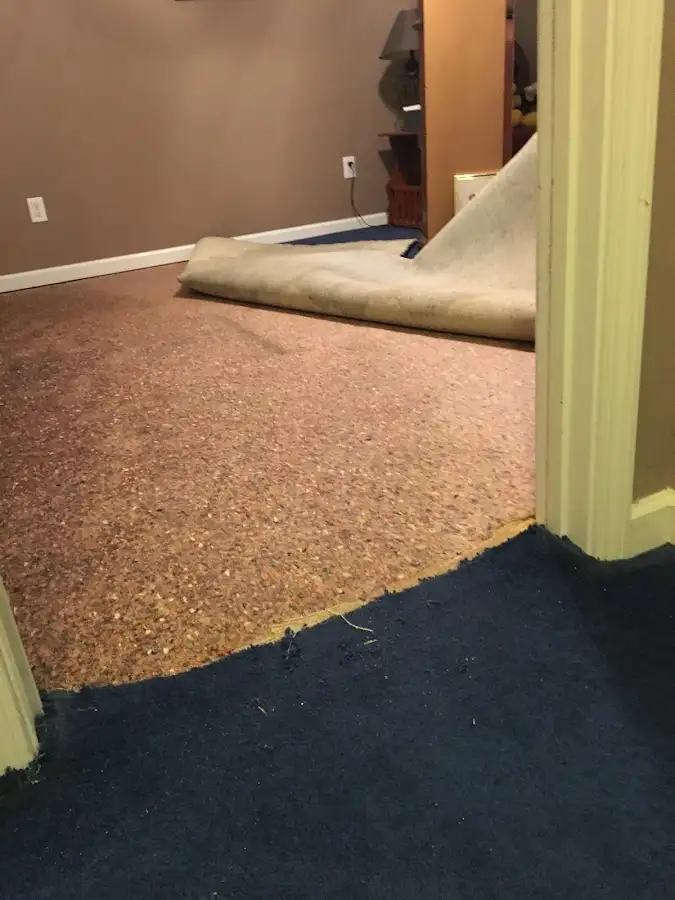 Carpet pad removal revealing water damage during Water Mitigation Services in Newberg