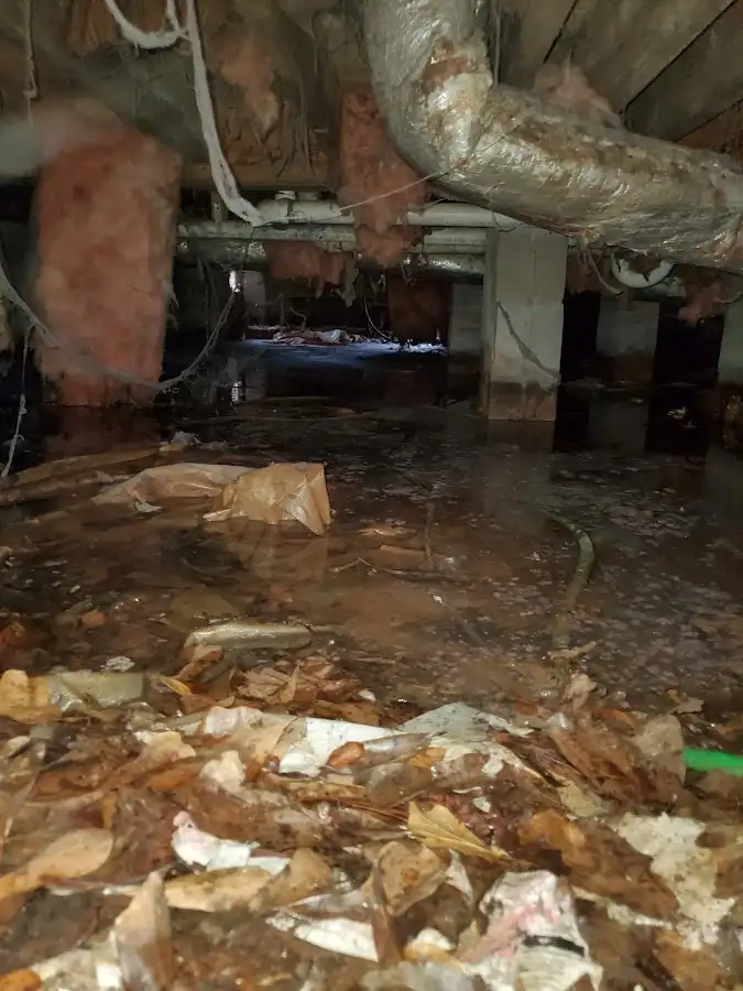 Crawl space flood assessment for Leak Detection & Repair in Newberg